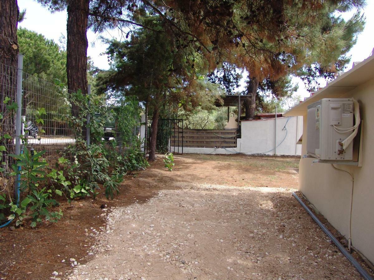 Villa Navy House Skála Kallirákhis Exterior foto